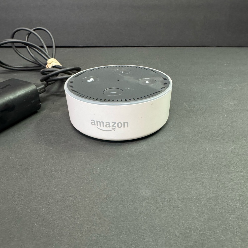 Amazon Echo Dot in Black and White